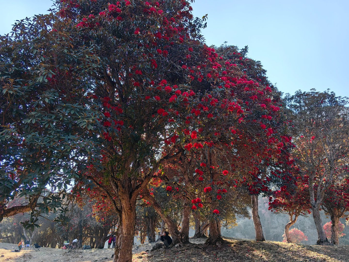 永德大雪山临沧海拔最高的地方