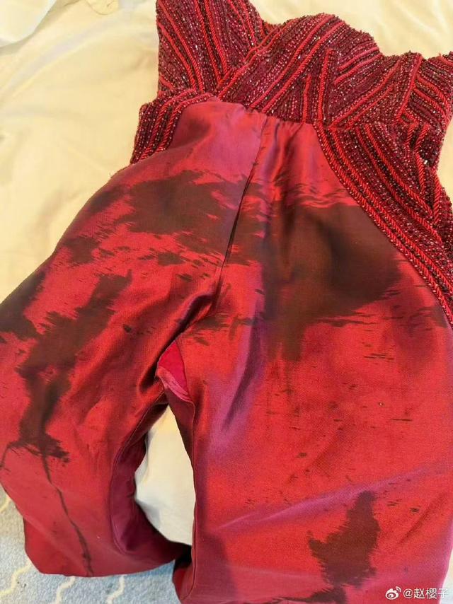 赵樱子戛纳红毯礼服被泼咖啡紧急求助