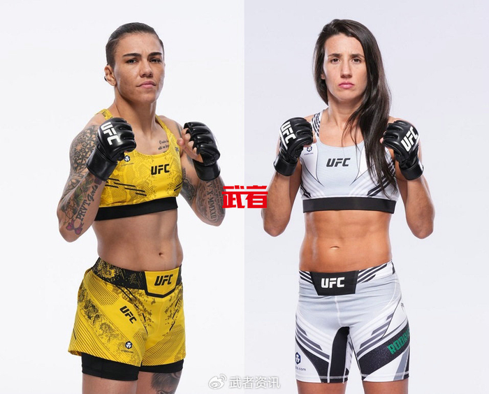 ufc 300:杰西卡·安德拉德vs玛丽娜·罗德里格兹|量级|安德拉德