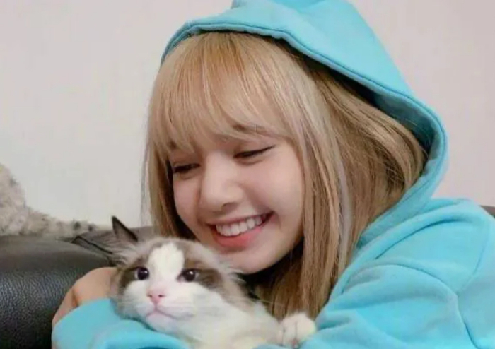 blackpink lisa素颜照首次曝光,网友热议明星真实面貌|素颜|面貌|舞台