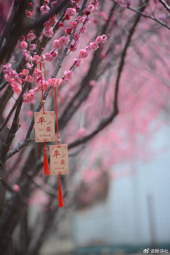 精选诗词|时光不可归来去,故友几人想当初