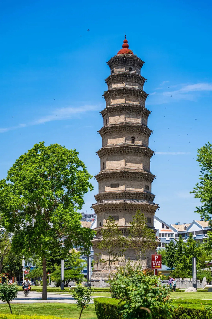 媒体聚焦 | 何以滕州?