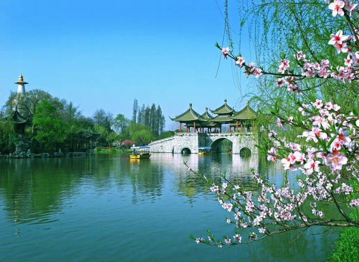 初春的扬州,杨柳垂发于河岸,带着淡淡的惆怅,微风一拂
