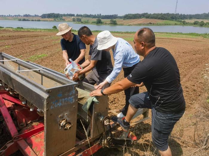 由市农技中心,市农科院,襄州区农技中心提供技术指导,襄阳金立丰农业