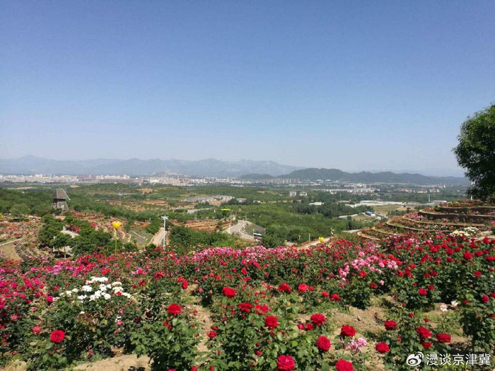 北京密云玫瑰情园景区