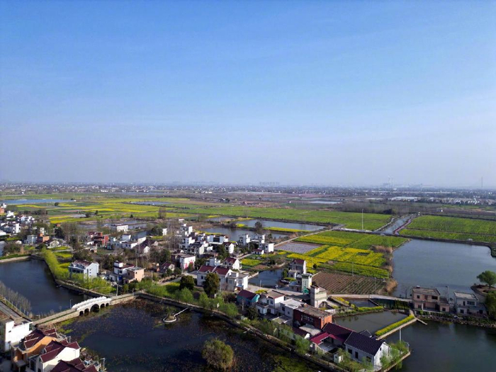 安徽芜湖春游江淮鸠江区白茆镇油菜花开了美丽乡村醉游人