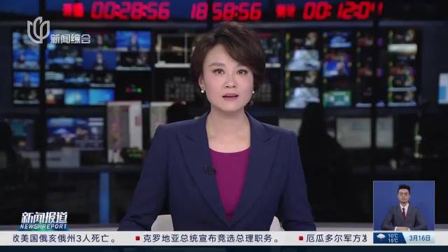 最新进展王寅已找到今晚新闻夜线将与她连线对话
