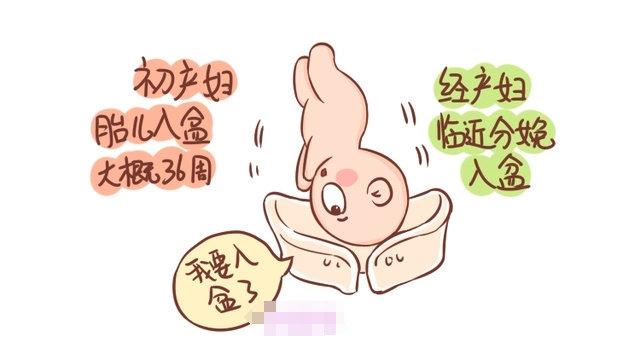 孕晚期，胎宝宝头朝下孕妈是啥感觉？为了见妈妈，胎儿真的很努力