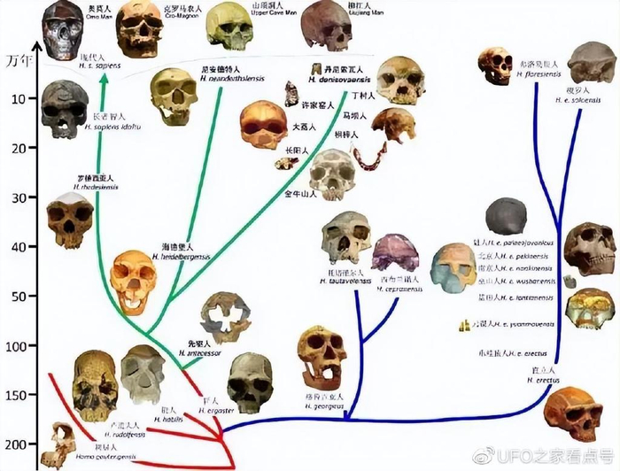 地球上曾经有几十种人,为什么最后只剩下了我们智人?