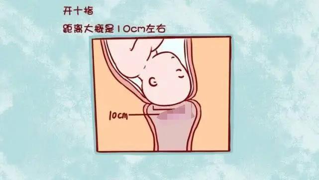 产妇从宫缩开始到宫口开到三指,即大约4厘米左右,是整个分娩过程中