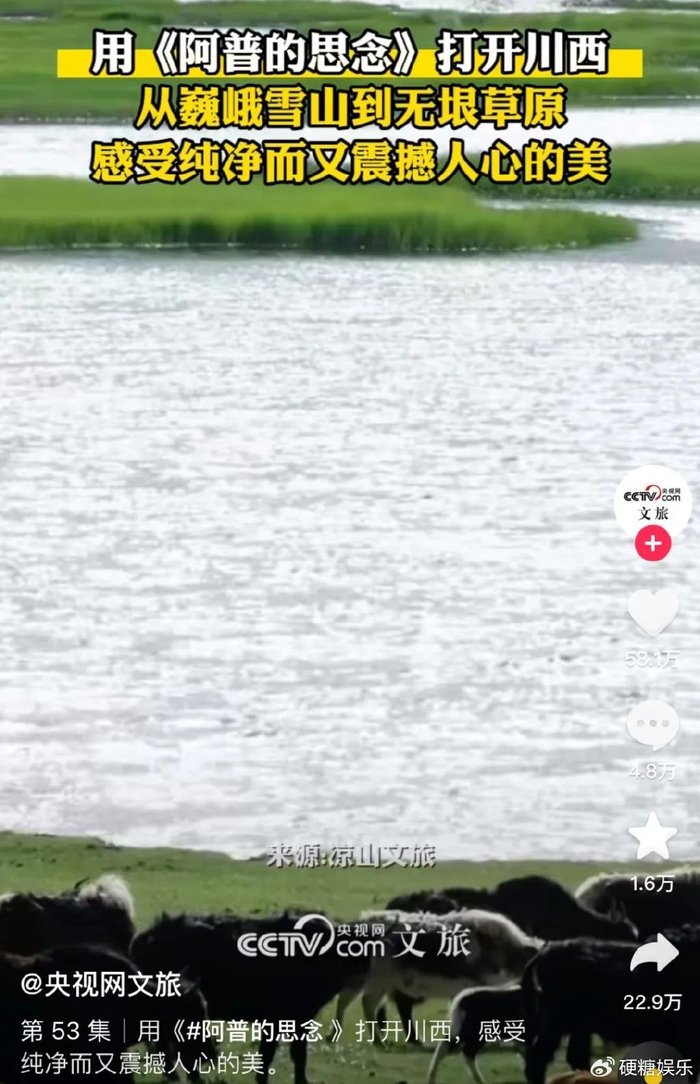 努力的人已经通过海选出道了|迪士尼|诺米|谢帝_新浪新闻