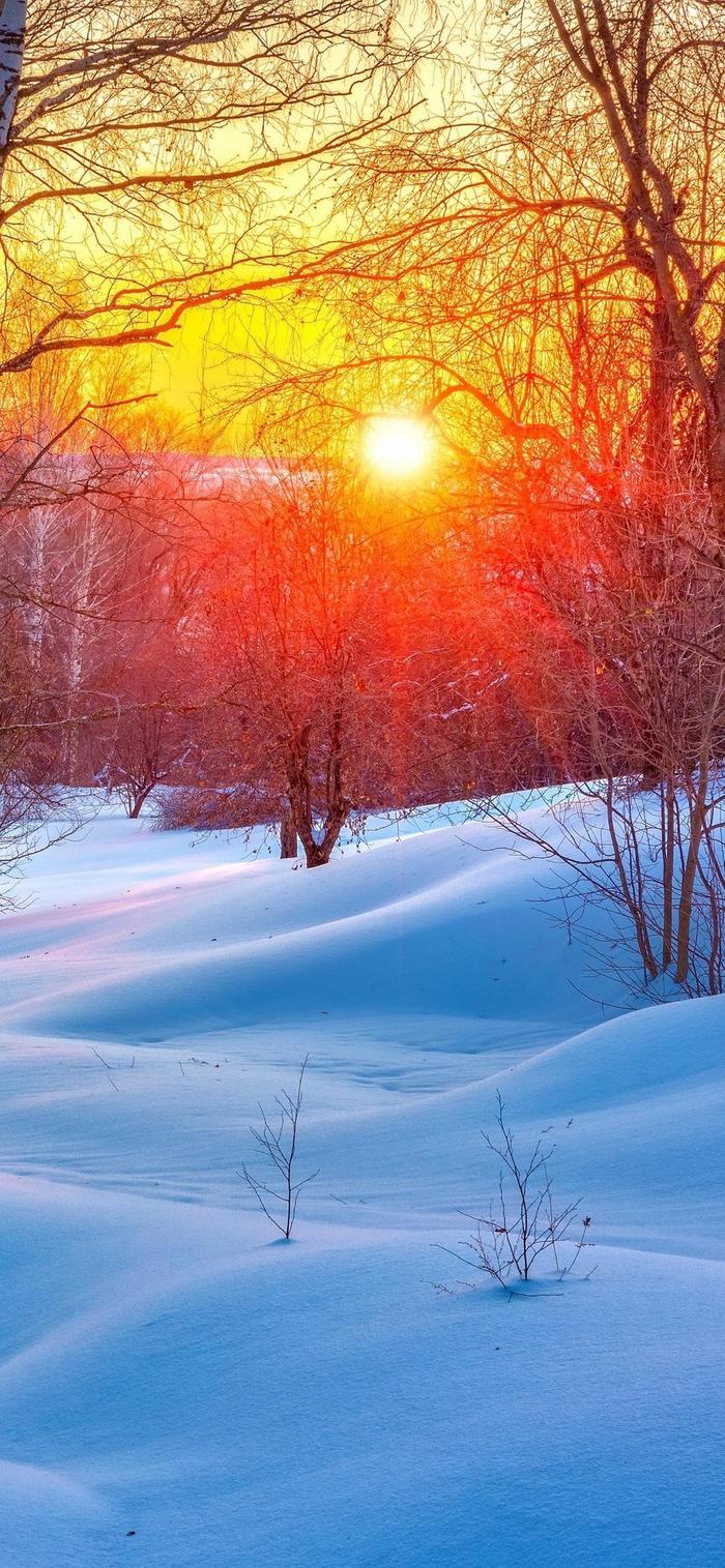 冬天雪景真实图片