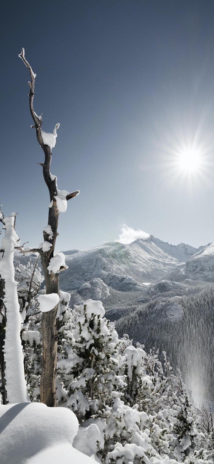 冬日雪景壁纸