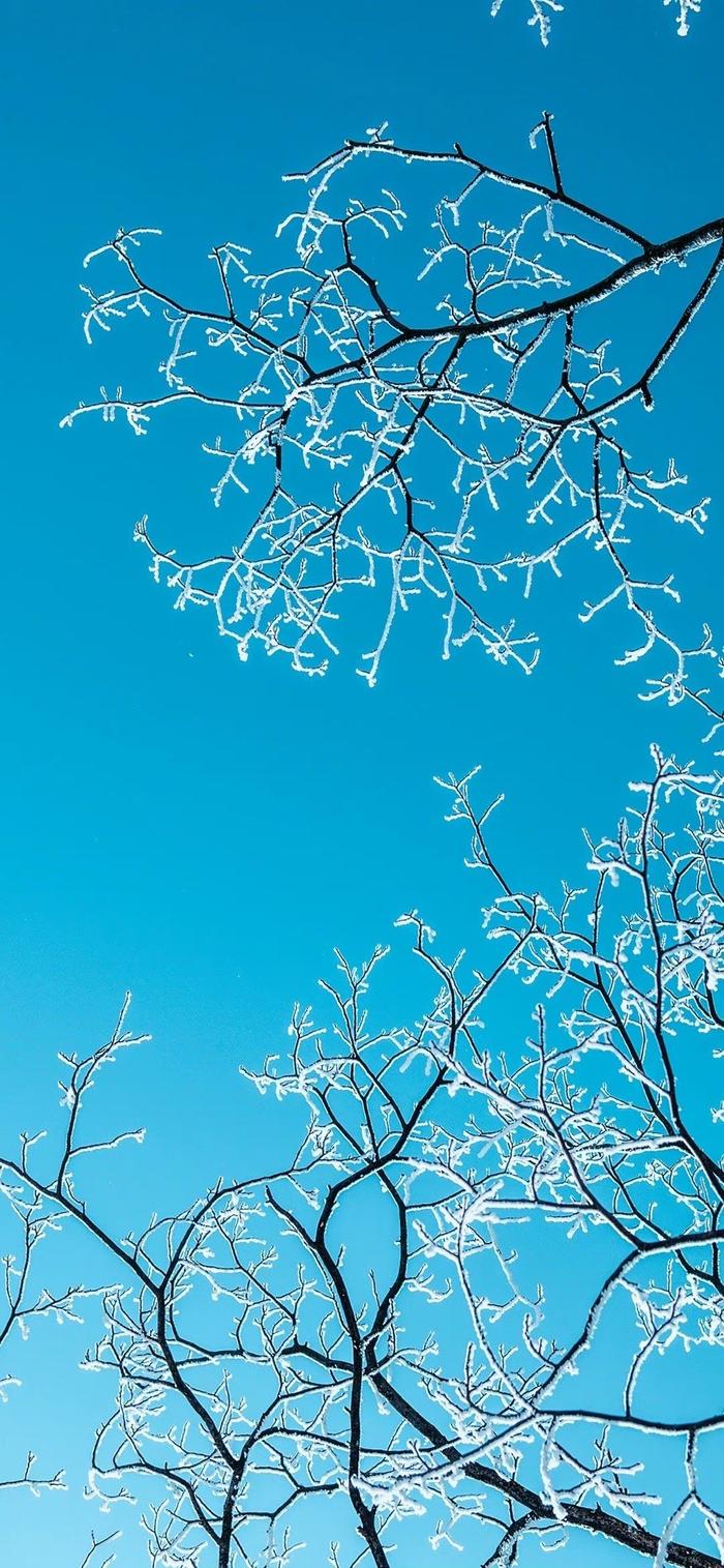 锁屏壁纸雪景图片