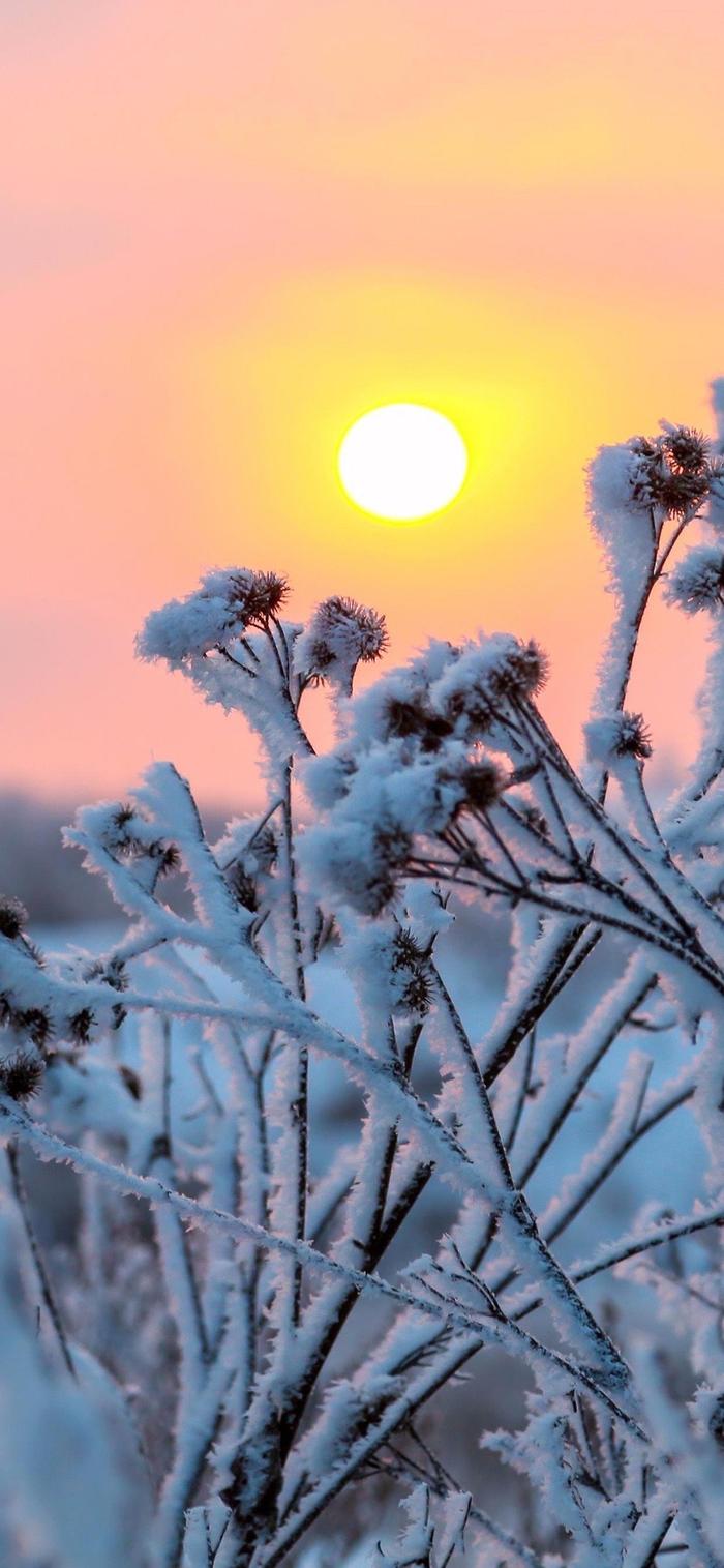 冬日雪景壁纸