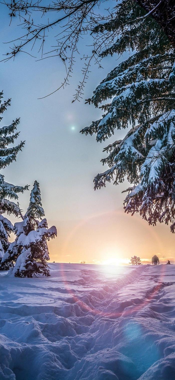 冬季手机壁纸浪漫雪景图片