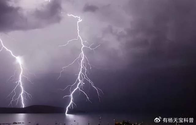 一道闪电掉到海里,会电死多少条鱼?|闪电|电死|电流|鱼|海水_新浪新闻