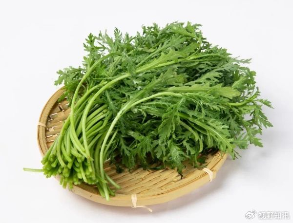 长沙红杏林老师教你茼蒿三吃:轻松享受健康,告别春季困倦