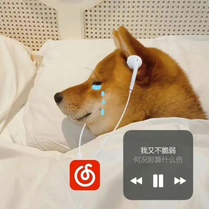 最新表情包,有被爱到!