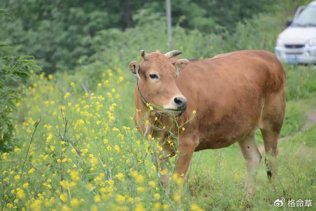 这首诗的哲学意旨引人深思评邓万发诗歌要点