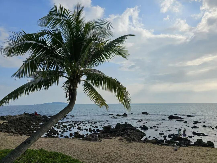 海南封关，远比你想象的重要_https://www.izongheng.net_快讯_第12张