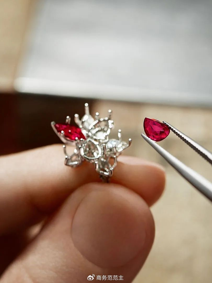 郭晶晶过年戴金色猎豹项链,龙年戴什么珠宝,好运又?