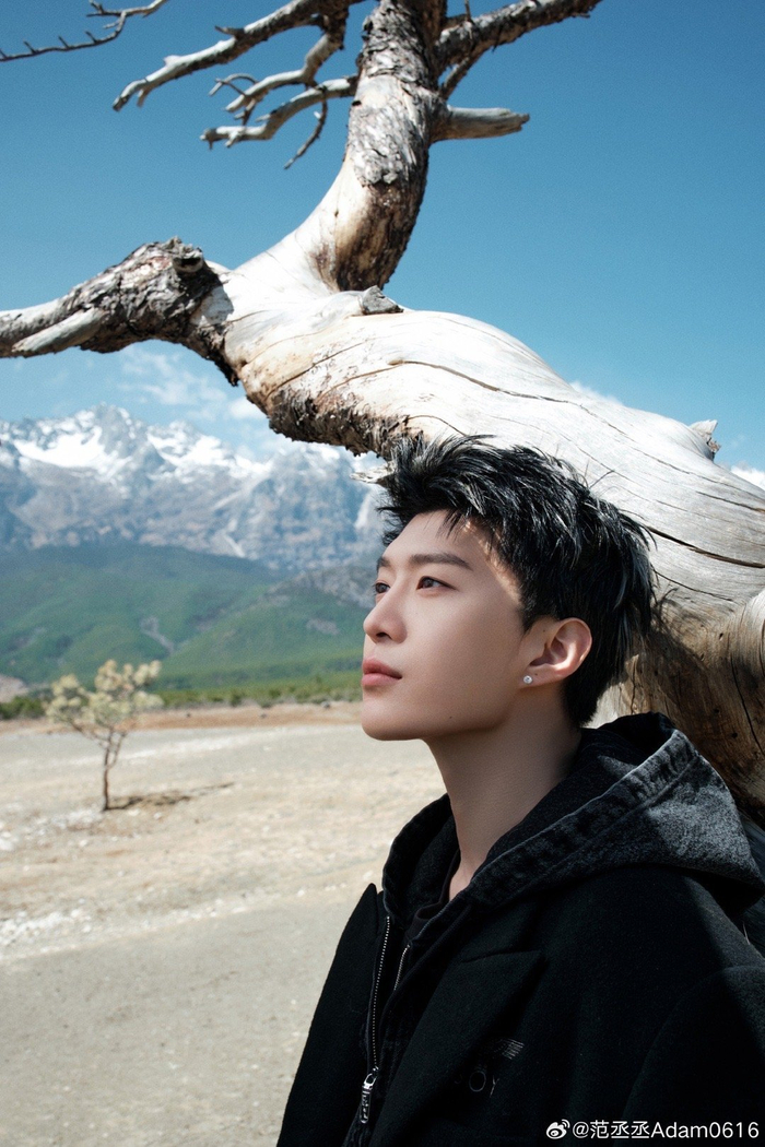 福西西你给我帅晕倒了