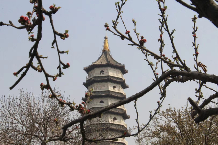 要拍春天,就不能只拍春天～这里是天津宁园|宁园|天津_新浪新闻