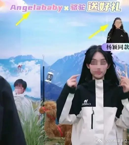 小红书|抖音|猫人_新浪新闻