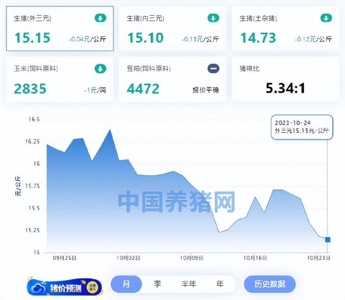 10月24日猪价:持续走跌!后续猪价如何?农业农村部这样说!|三元|生猪|猪价