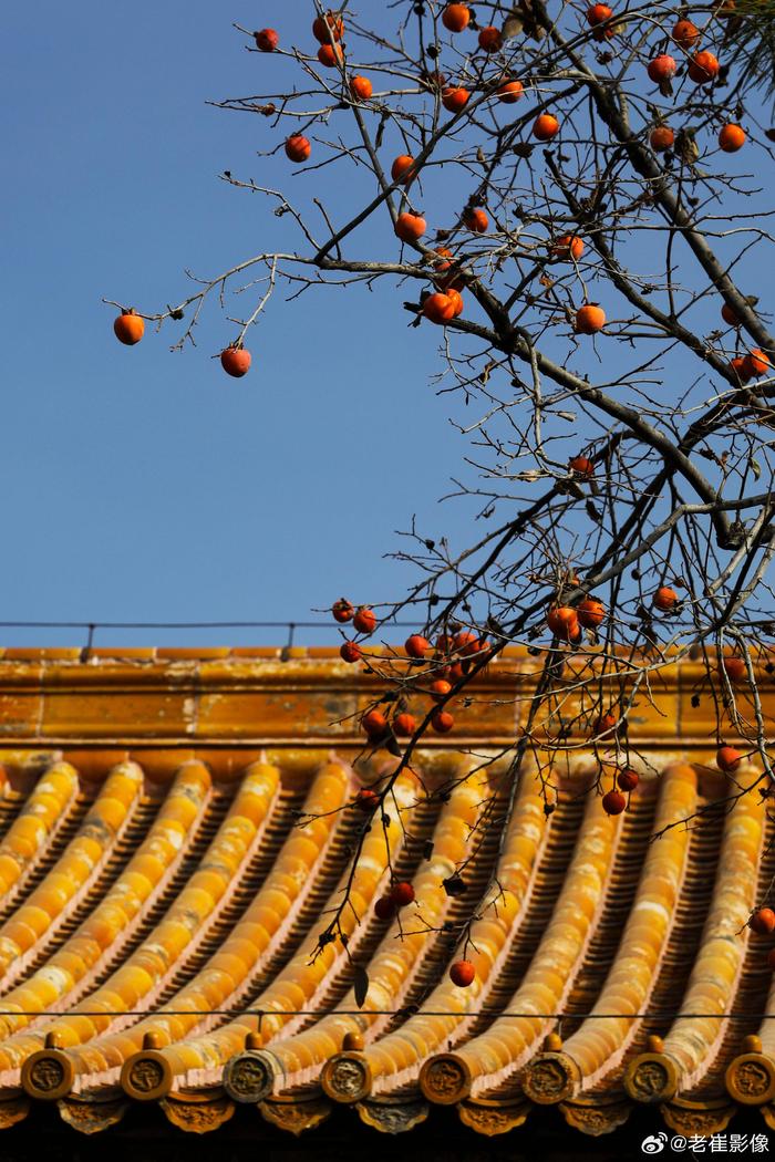 深秋景色图片