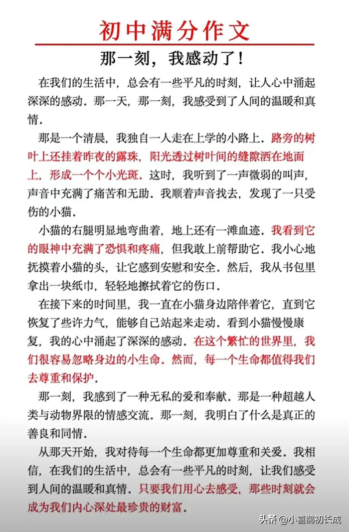 初中生作文大赏!2024中考必备!18篇满分佳作,惊艳四座!