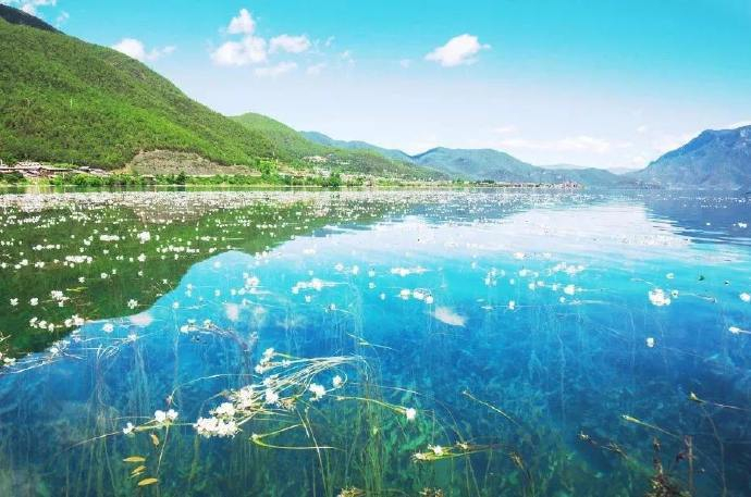 泸沽湖水性杨花已经盛开,你什么时候来?