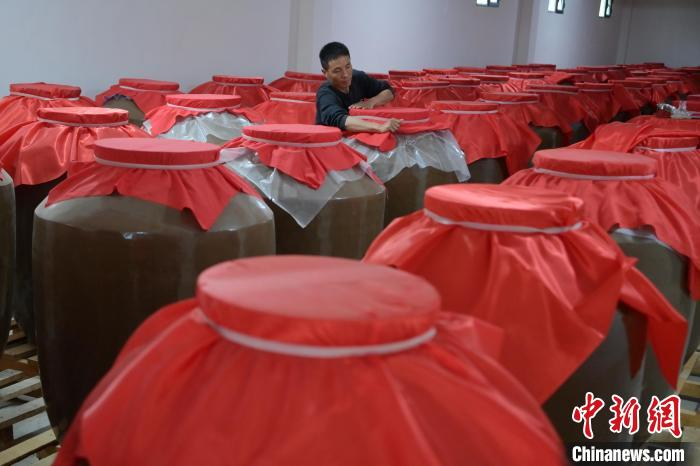 探访甘肃藏乡青稞酒古法酿造技艺