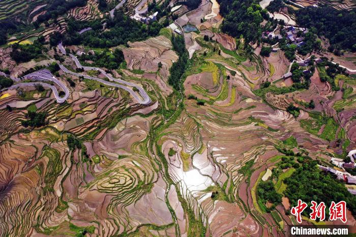 在重庆市酉阳土家族苗族自治县花田乡何家岩村,万亩高山梯田层层叠叠