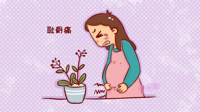 疼疼疼！孕妈耻骨联合分离，该如何缓解？一篇告诉你，抓紧收藏吧