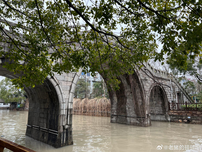 偶入川沙公园虽建筑不古但氛围感十足