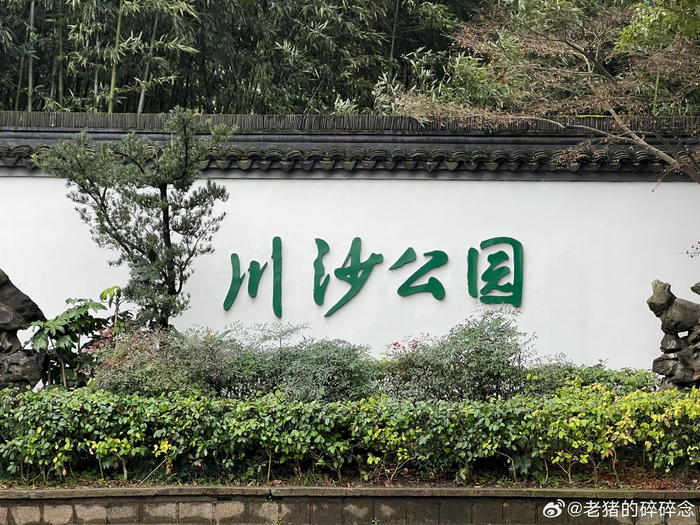偶入川沙公园虽建筑不古但氛围感十足