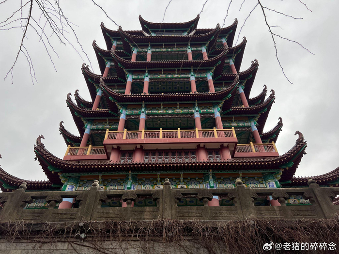 偶入川沙公园虽建筑不古但氛围感十足