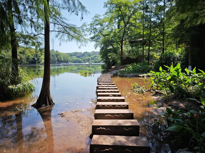 彩云湖公园,重庆好玩的地方太多了
