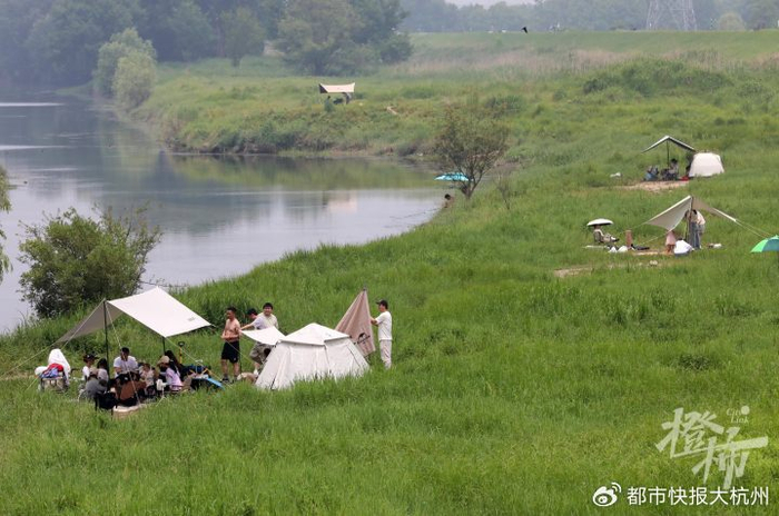 上千株水杉组成一片绿色森林,步入其间,抬头仰望,郁葱间透过的丝丝