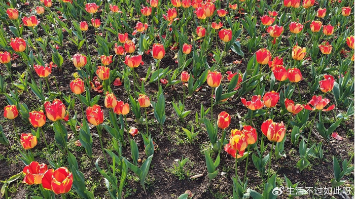 60岁到69岁这十年，尽量别在兄弟姐妹面前，做这三件不该做的事