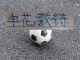 申花米内罗又没有首发上场