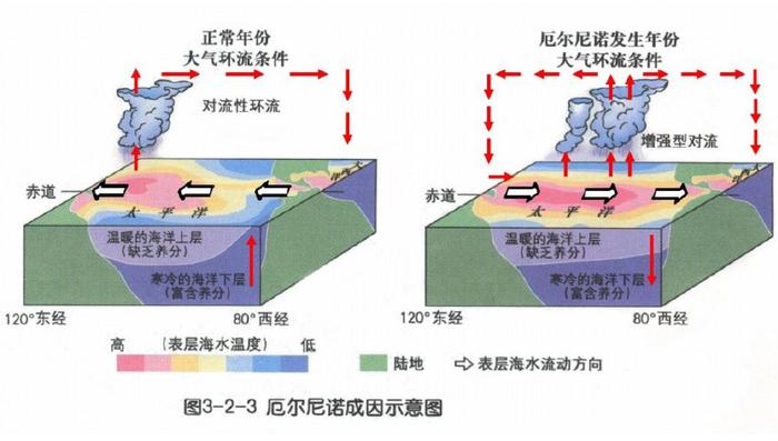 厄尔尼诺暖流是太平洋一种反常的自然现象,其显著特征是赤道太平洋