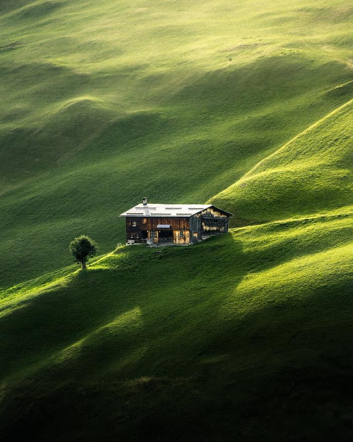 治愈的绿色风景