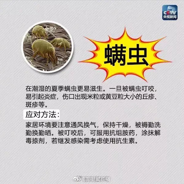 已入侵12个省份,有致命危险!发现立即上报|红火蚁_新浪新闻
