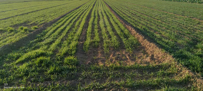 山东聊城:完工三年后仍收不到工程款 企业合法权益如何保证?(图4)