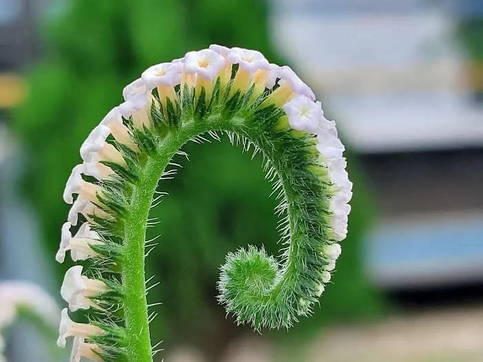 15幅有趣的对称图片,给人带来满足感,强迫症都觉得舒服|事物|满足感