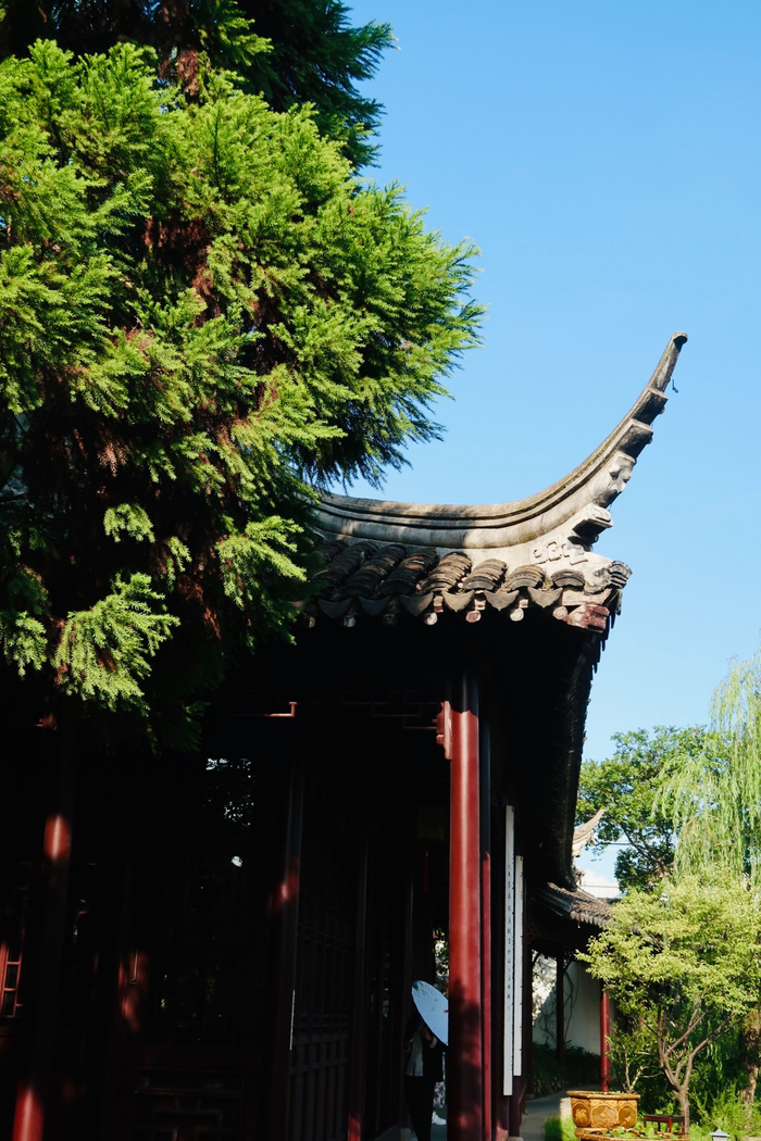 热烈的夏日可园苏州苏州市文保