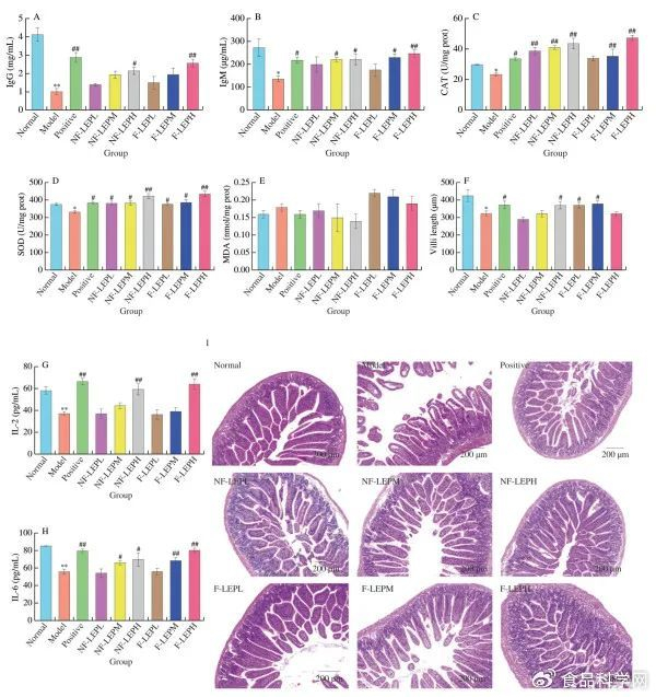 小鼠肠道菌群多样性发现小鼠粪便菌群主要由8个菌门,25个菌科所构成